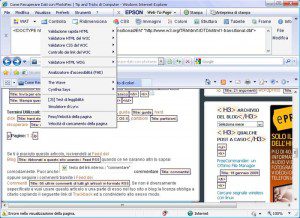 toolbar-internet-explorer-test-webmaster-accessibilita