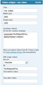 Video-Widget-mettere-video-sidebar-blog-wordpress