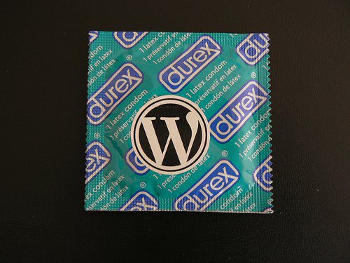 Wordpress-Security